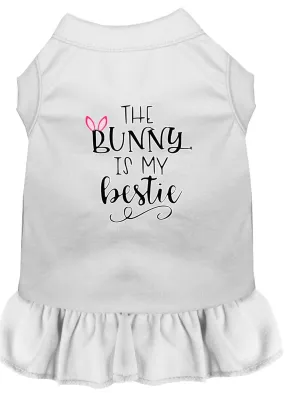 Bunny Is My Bestie Screen Print Dog Dress White Sm (10)
